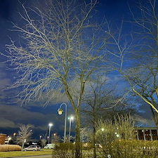 Professional-Christmas-Lighting-Installation-For-Your-Montreal-Commercial-Properties 4